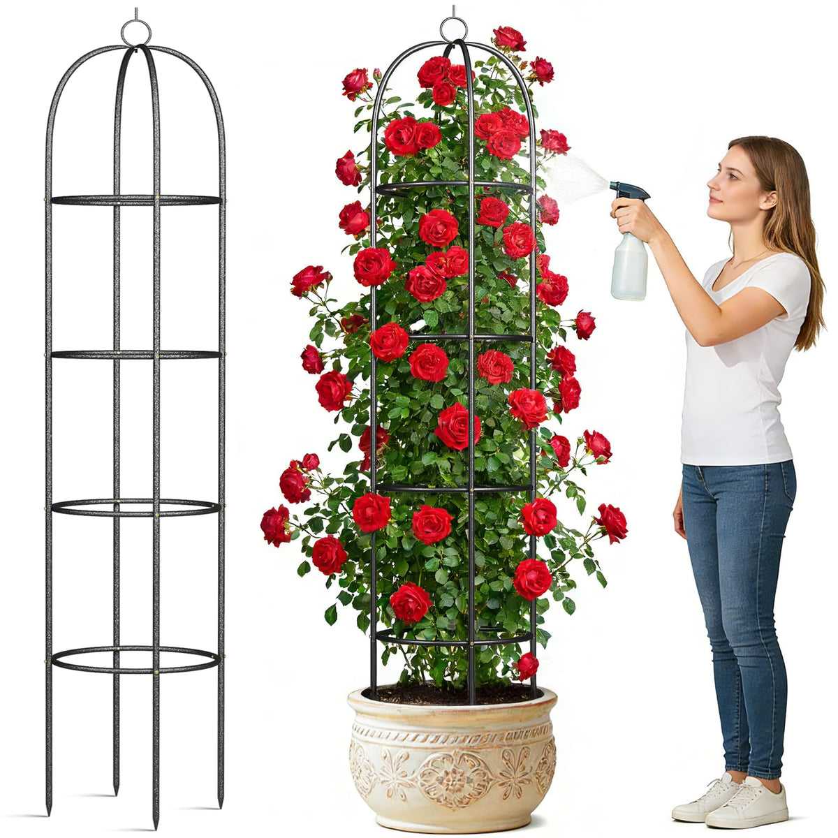 CL FUN metal trellis supports climbing roses.