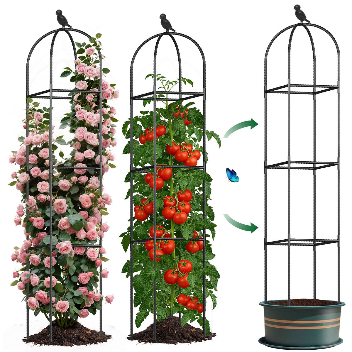 CL FUN obelisk trellis supports tomato plants with stable upright growth.