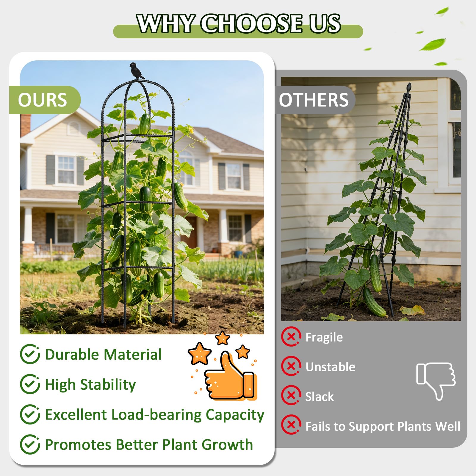 CL FUN rustproof metal plant support keeps outdoor vines secure.