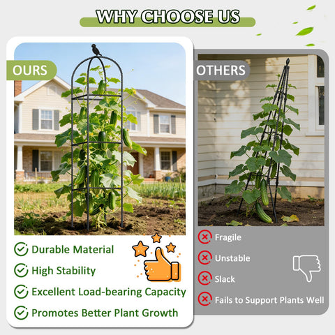 CL FUN rustproof metal plant support keeps outdoor vines secure.