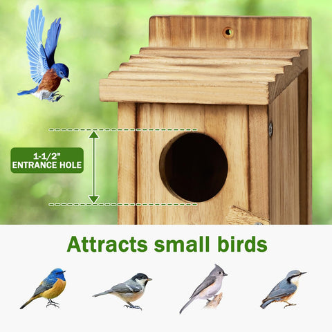 CLACKIBUKVYZ bird-house-easy-clean-door makes nest maintenance quick and simple