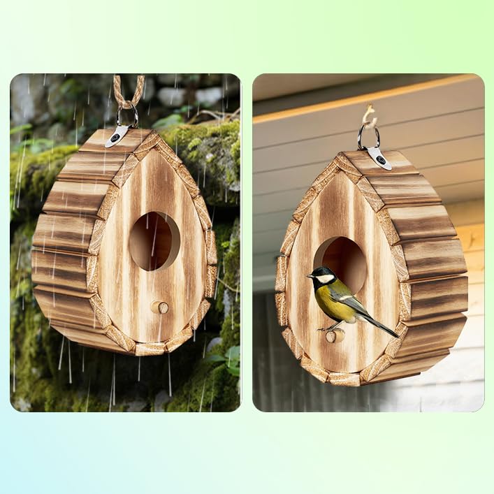 CLACKIBUKVYZ bird lover accessory for patio, trees, or eaves.