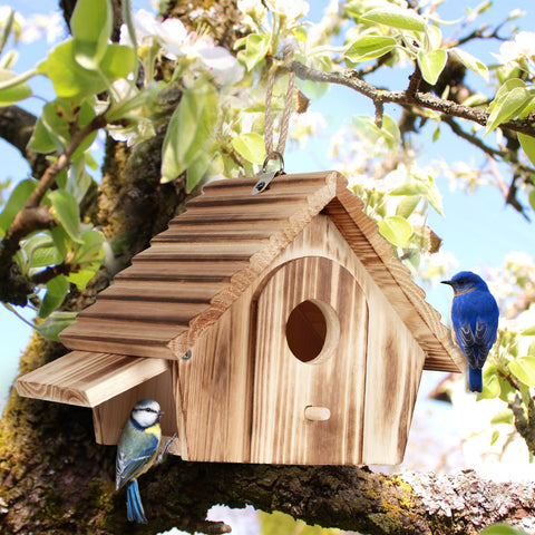 CLACKIBUKVYZ garden nesting box, suitable for bluebirds, wrens and finches