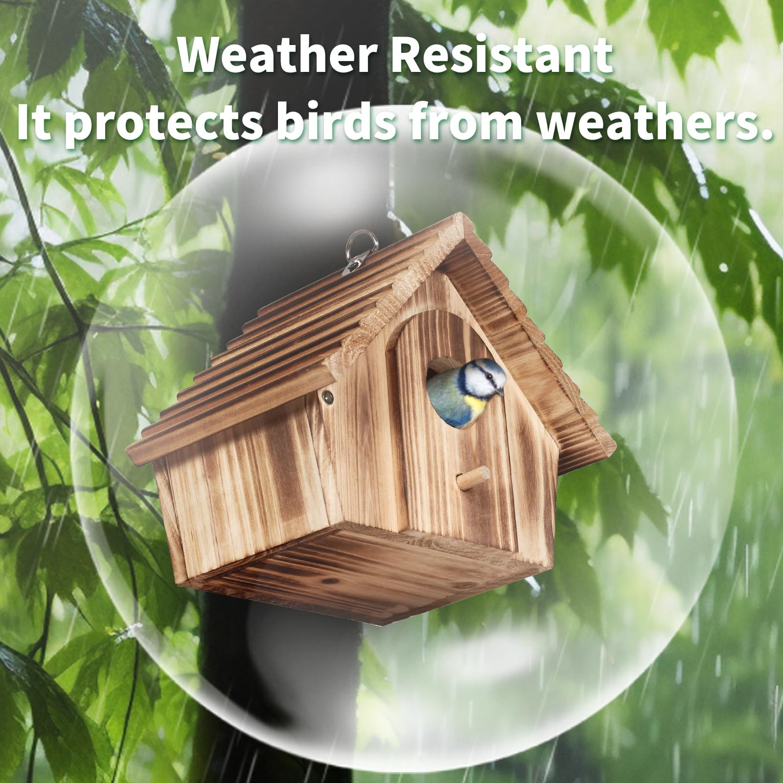 CLACKIBUKVYZ wood nesting box, durable home for small garden birds