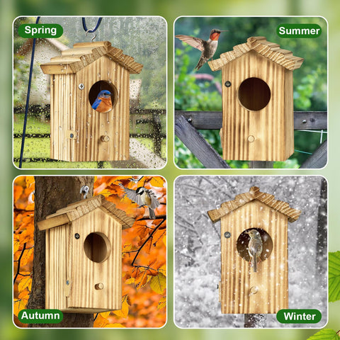 CLACKIBUKVYZ hummingbird house dimensions 4.1x3.3x5.9 inches for compact yards