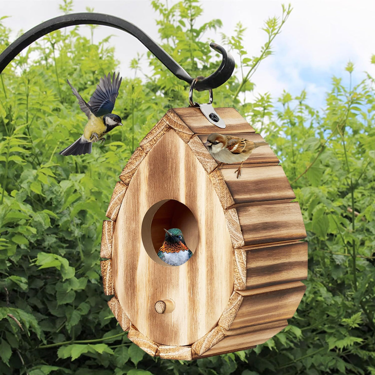 CLACKIBUKVYZ hummingbird house outdoor in natural wood finish; invites small birds.