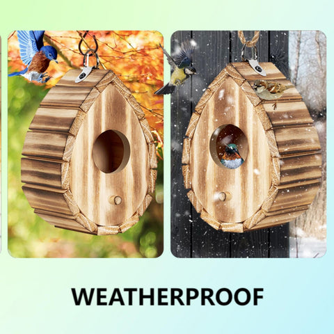 CLACKIBUKVYZ patio garden-ready birdhouse shown in yard setting.