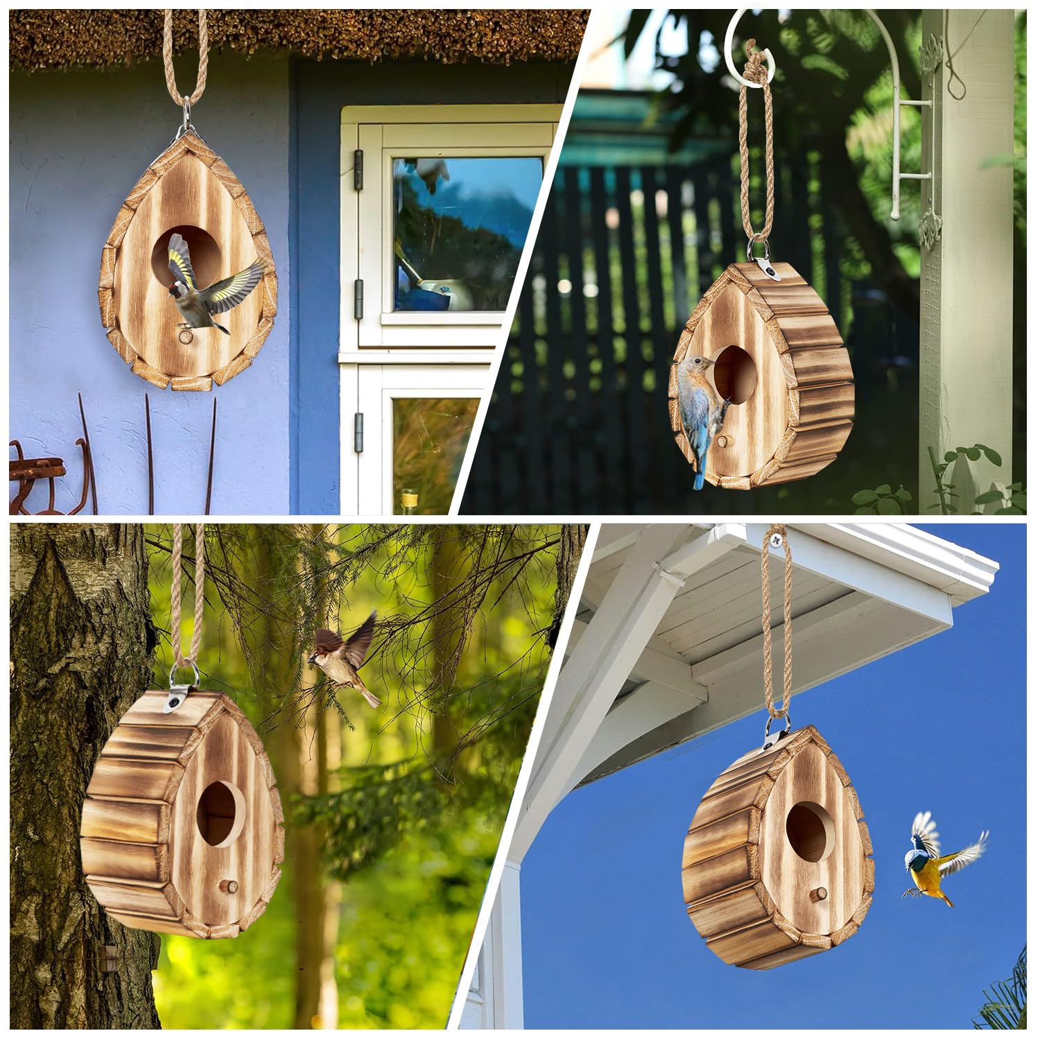 CLACKIBUKVYZ compact nest box measures 6d x 4w x 3.9h for small species.