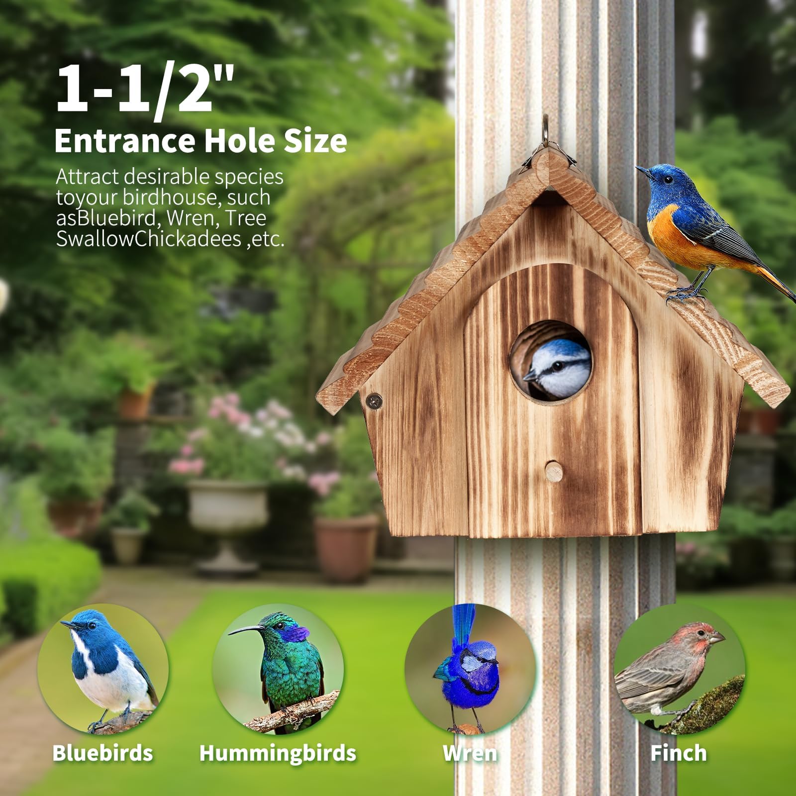 CLACKIBUKVYZ easy-clean birdhouse, side door for quick maintenance