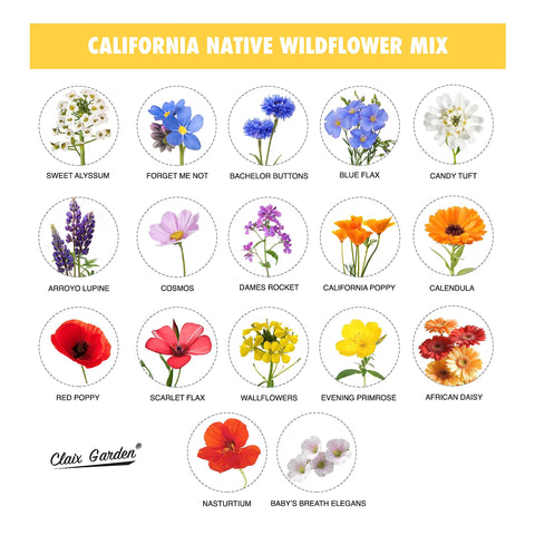Claix Garden California Wildflower Mix supports biodiversity with native California varieties.