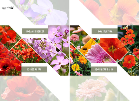 Claix Garden California Wildflower Mix ships in a resealable bag for freshness.