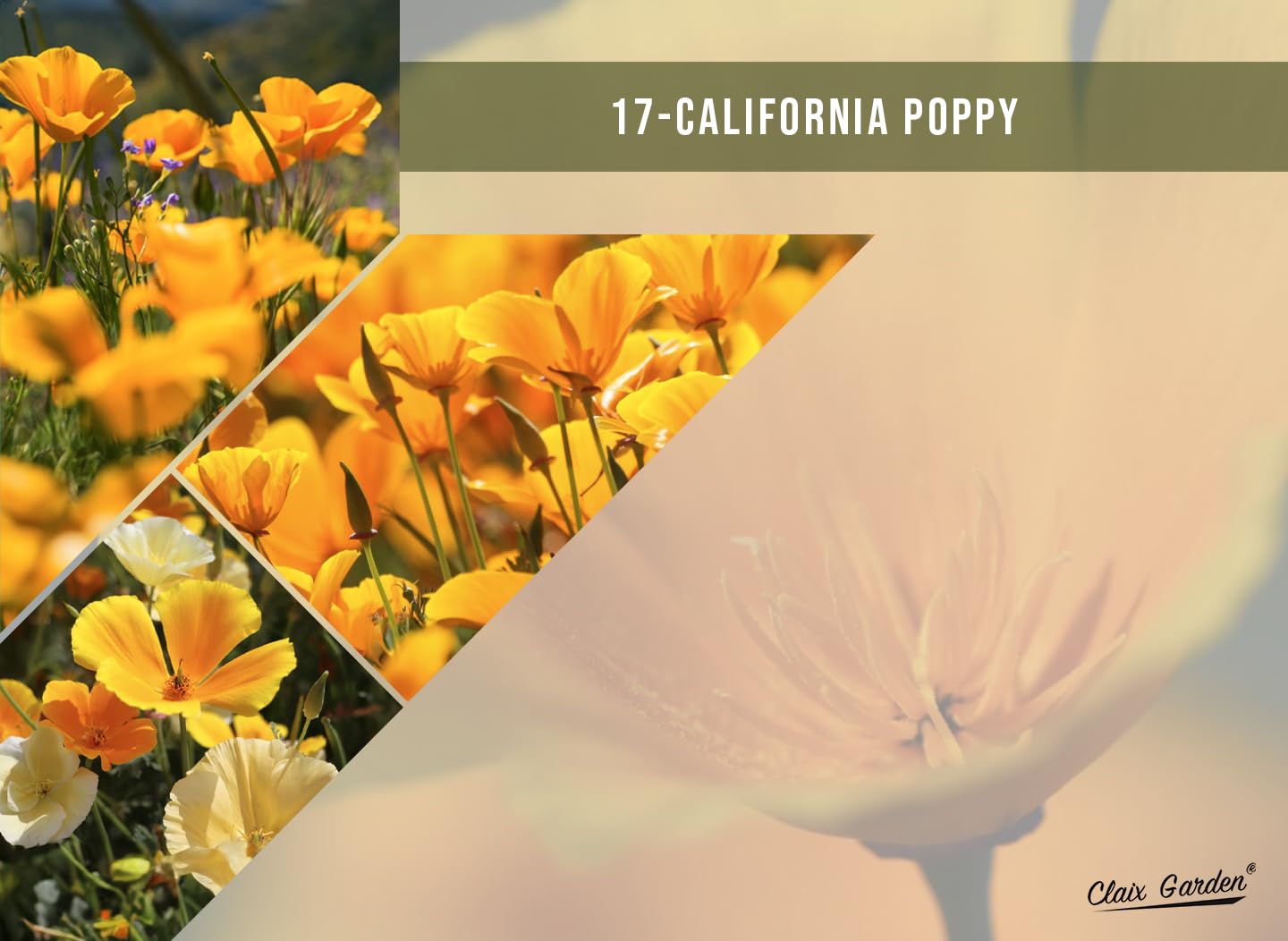 Claix Garden California Wildflower Mix is a USA-made seed blend.