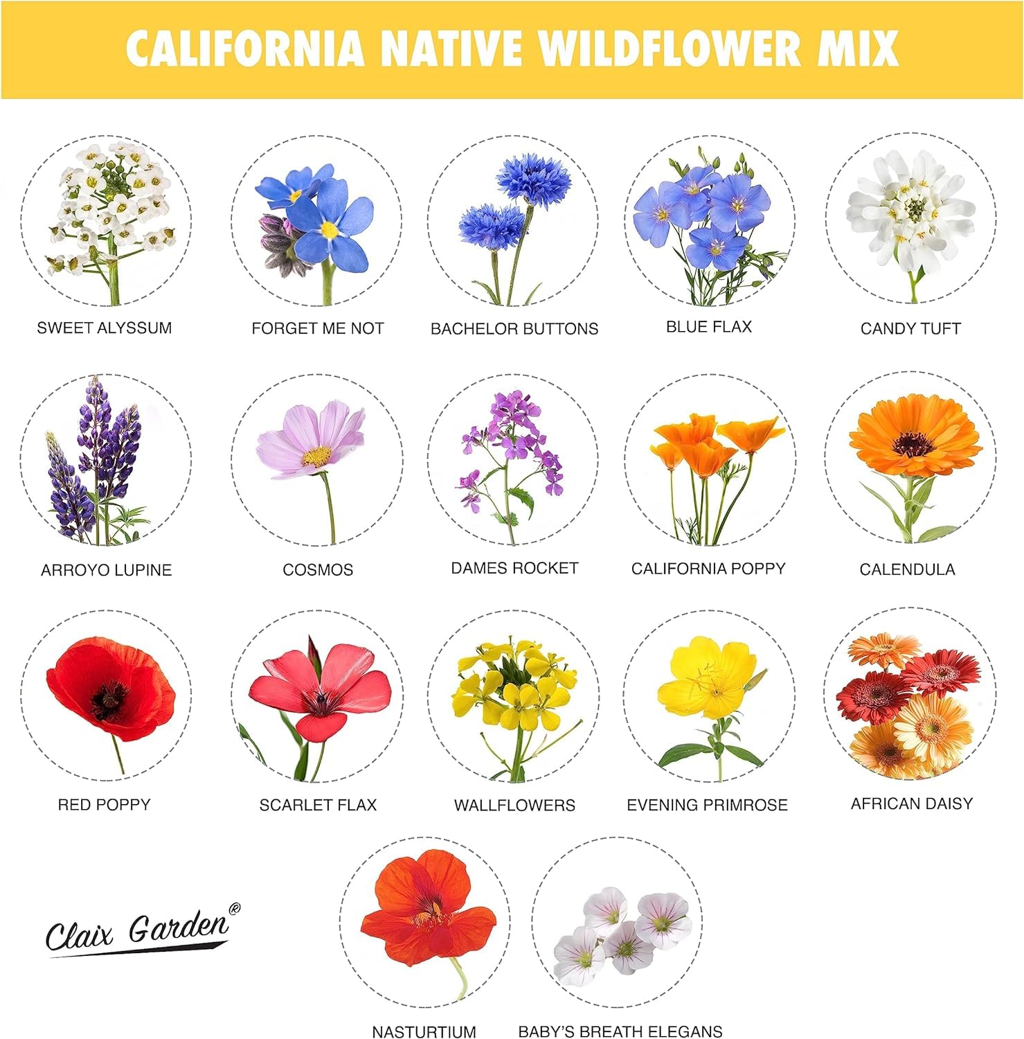 Claix Garden wildflower bloom fills garden beds with color all season.