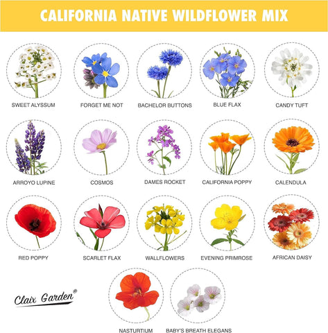 Claix Garden wildflower bloom fills garden beds with color all season.