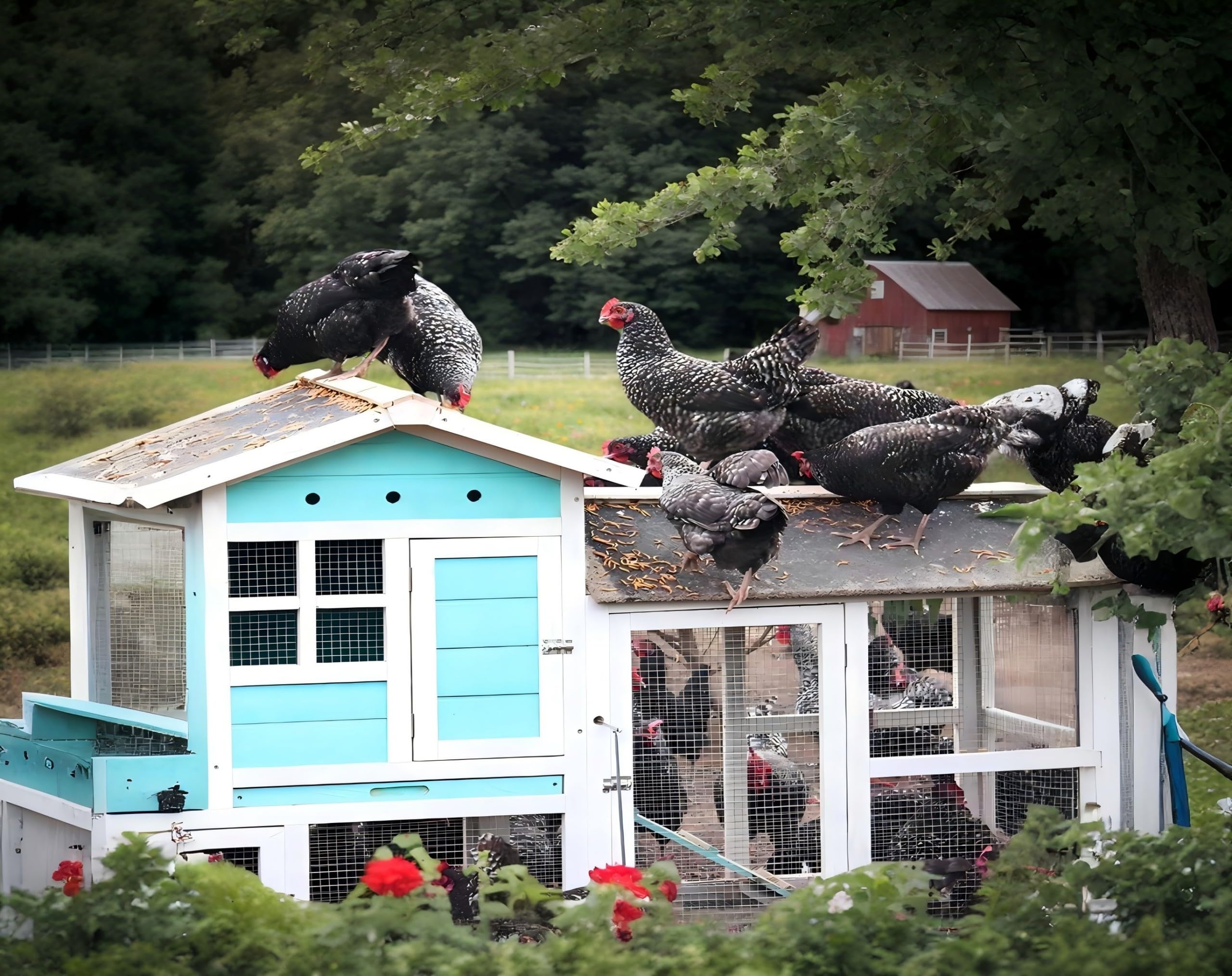Classic Flock BSFL bulk storage container, keeps larvae fresh