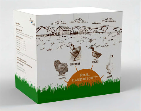 Classic Flock BSFL egg-shell support, boosts shell quality potential
