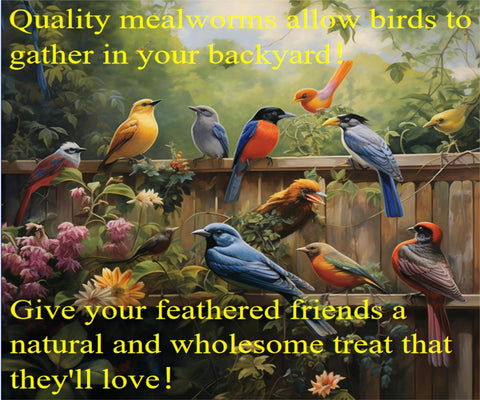 Texture and natural color of Classic Flock dried mealworms.
