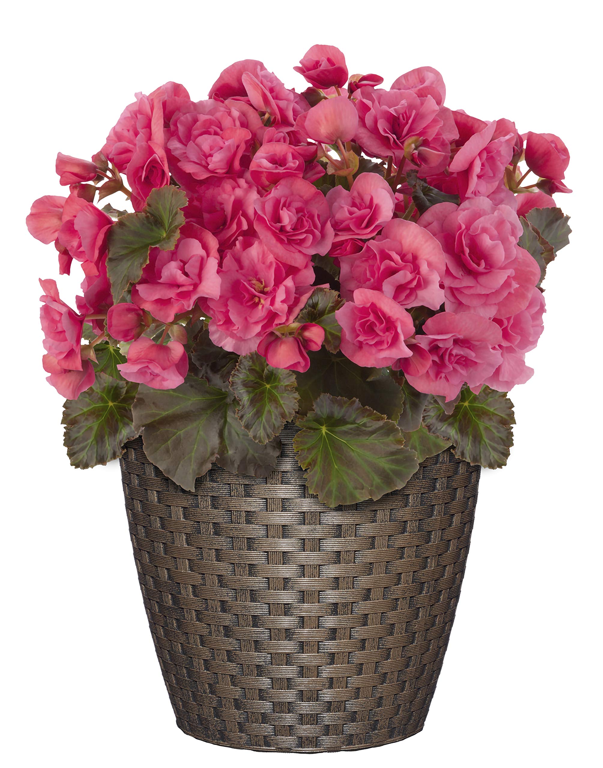 Nantucket 8-inch Russet planter, side view, weather-resistant finish for patios.