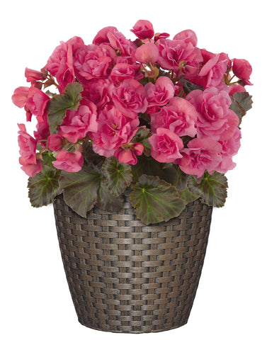 Nantucket 8-inch Russet planter, side view, weather-resistant finish for patios.