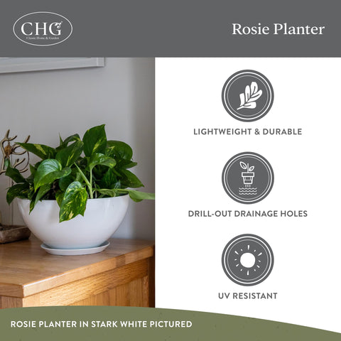 UV resistant Rosie planter stays vibrant and crack-free in sun.
