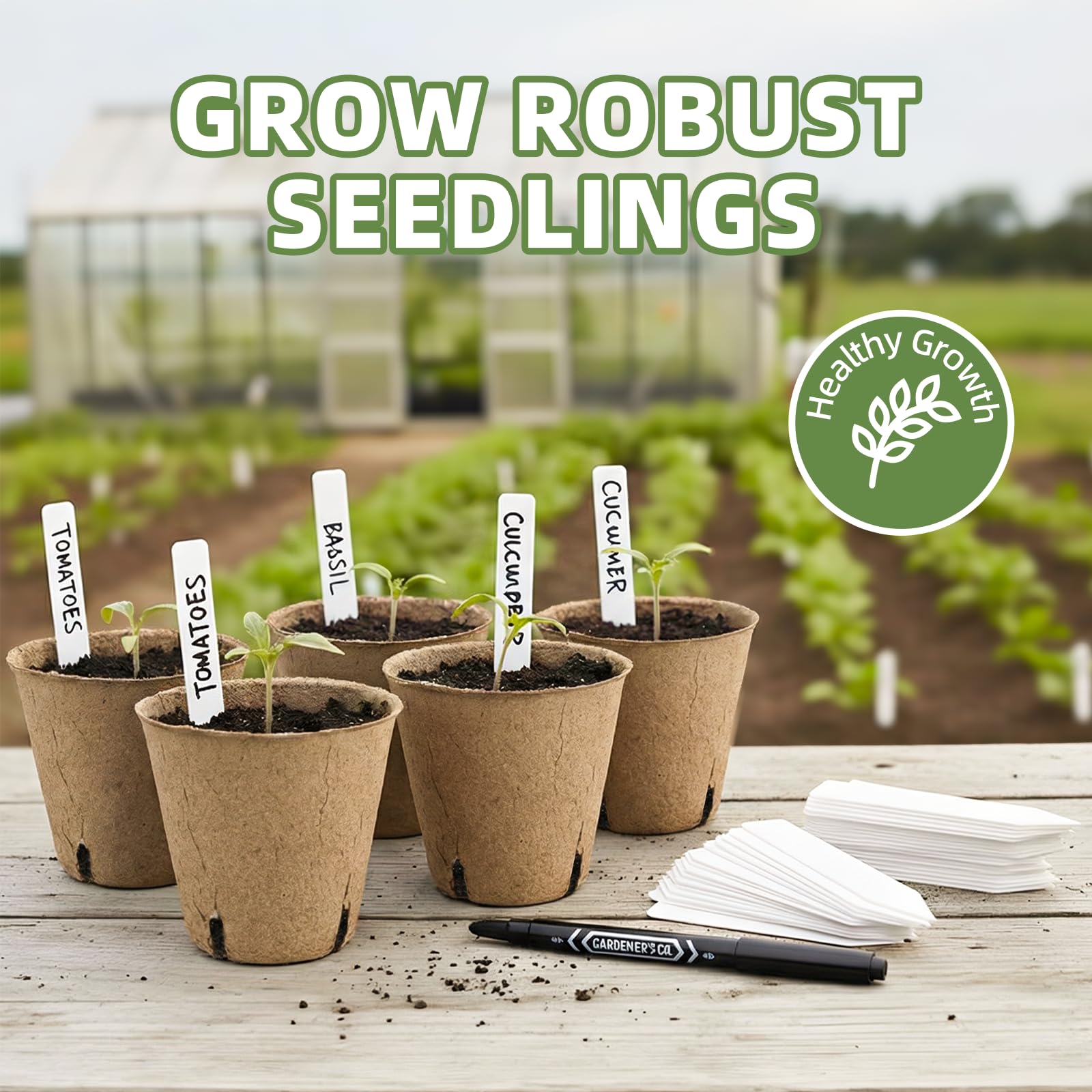 CLEANGOR biodegradable seed pots support healthy root development.