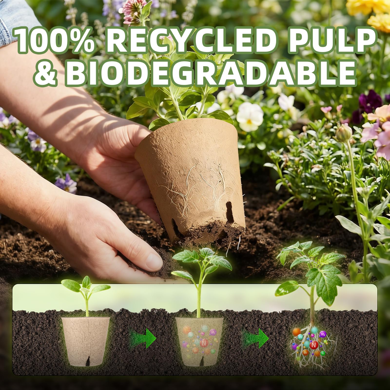 CLEANGOR breathable material reduces root crowding during transplant.