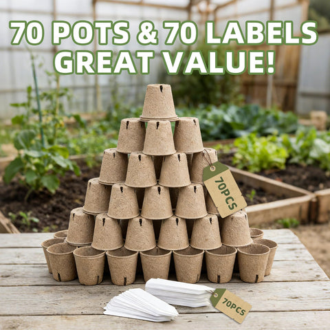 CLEANGOR complete gardening kit provides a ready-to-grow seed starter set.