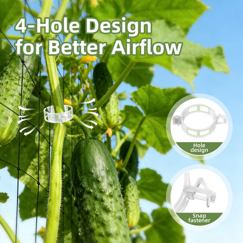 CLEANGOR cucumber clips on trellis show breathable, stable support.