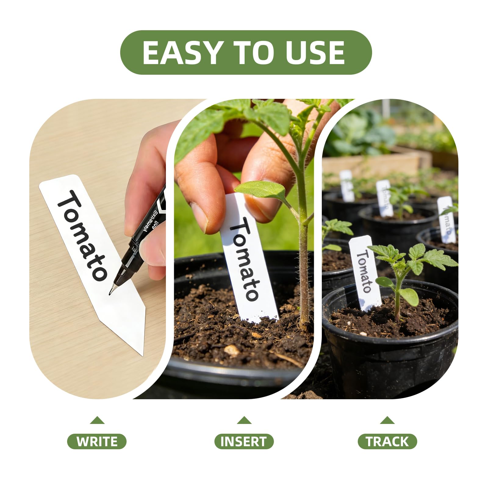 CLEANGOR greenhouse labels track growth in controlled environments.