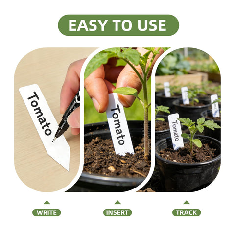 CLEANGOR greenhouse labels track growth in controlled environments.