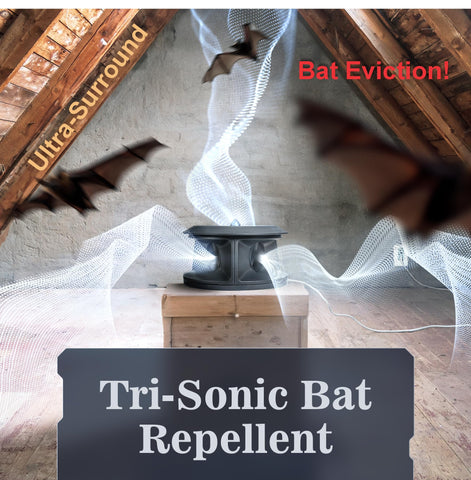 CLEANRTH BCS202 Bat-Blocker Pro safe housing reduces nuisance without harm