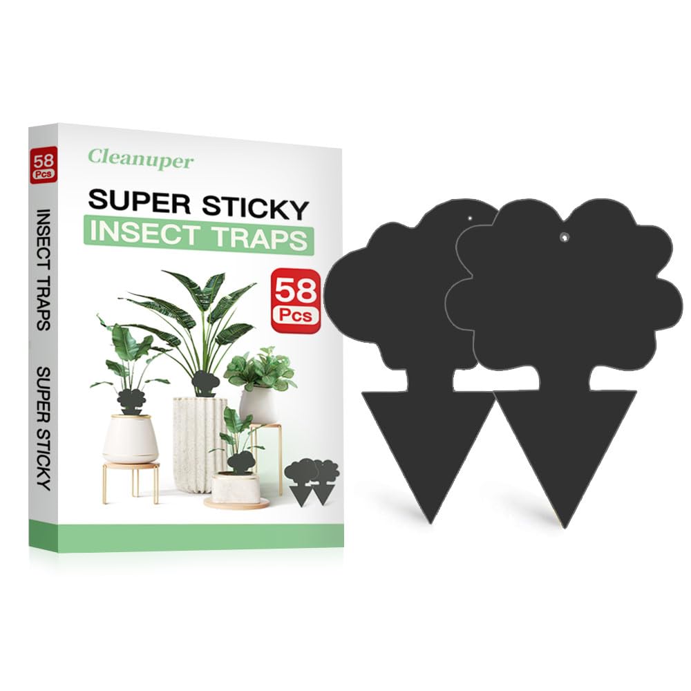 Cleanuper flower traps protect potted plants from gnats with dual-sided capture