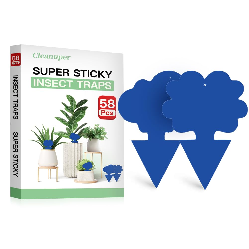 Cleanuper 58-pack traps with flower shape catch gnats indoors for healthier plants