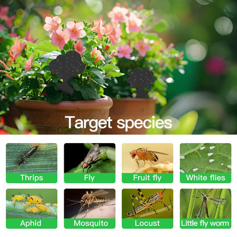 Cleanuper garden-use setup suits indoors and outdoors for versatile pest control