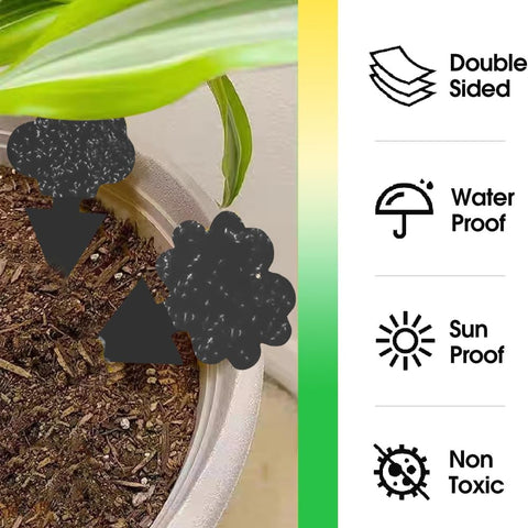 Cleanuper hanging-insert setup demonstrates easy soil placement or hanging