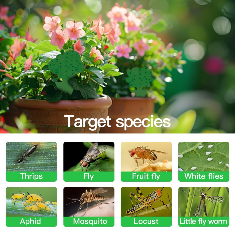 Cleanuper 58-pack double-sided sticky traps capture pests from multiple angles
