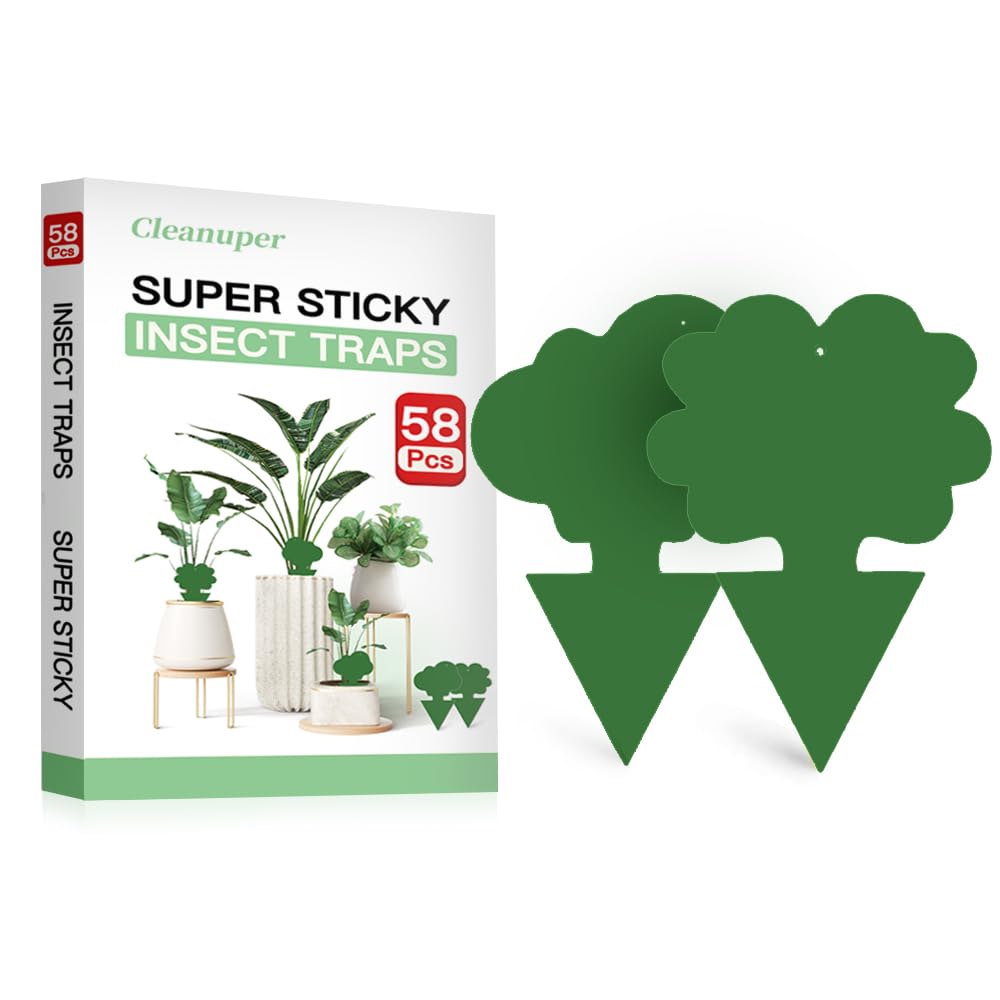 Cleanuper 58-pack flower trap captures gnats for indoor plant protection