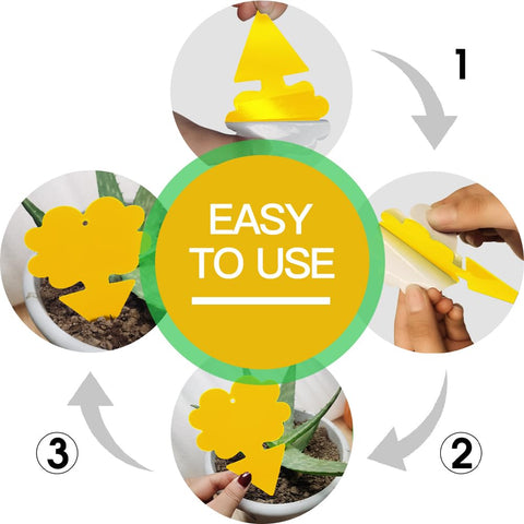 Cleanuper flower-shaped traps designed for easy garden deployment and long-lasting use