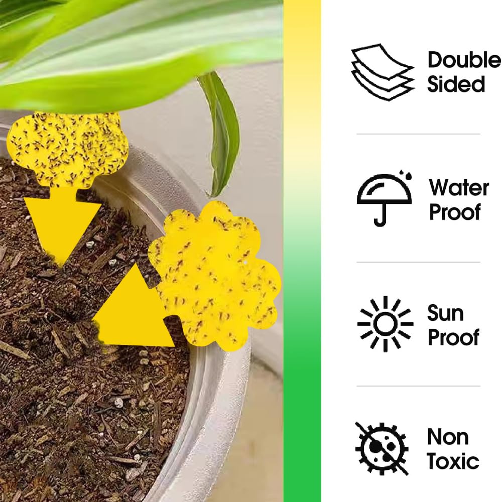 Cleanuper cloud-shaped traps offer odorless pest control for homes