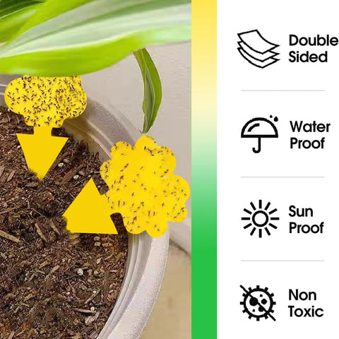 Cleanuper cloud-shaped traps offer odorless pest control for homes