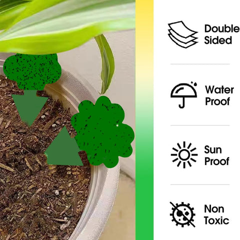 Cleanuper 58-pack indoor-outdoor protection traps for soil or hanging use