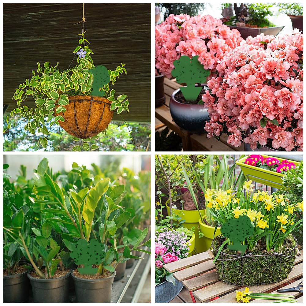 Cleanuper 58-pack weather-resistant traps withstand sun and rain