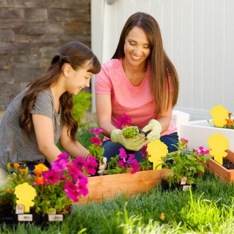 Cleanuper decorative ice-cream trap adds charm while catching pests.
