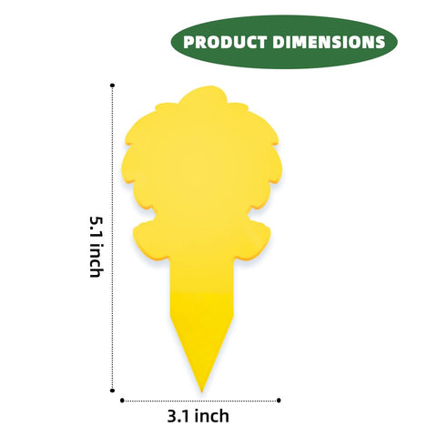 Cleanuper ice-cream gnat traps 58-pack for extended pest control.