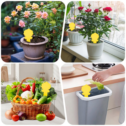 Cleanuper plant-use gnat trap suitable for pots and planters.