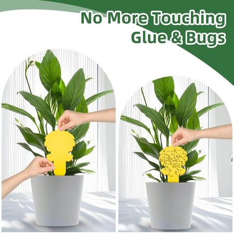 Cleanuper yellow sticky gnat trap surface for quick capture.