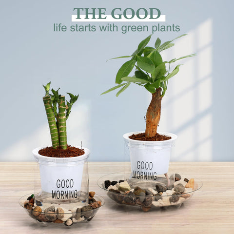 Clear plastic plant saucer 8in bottom feet detail; elevates pots for stability.