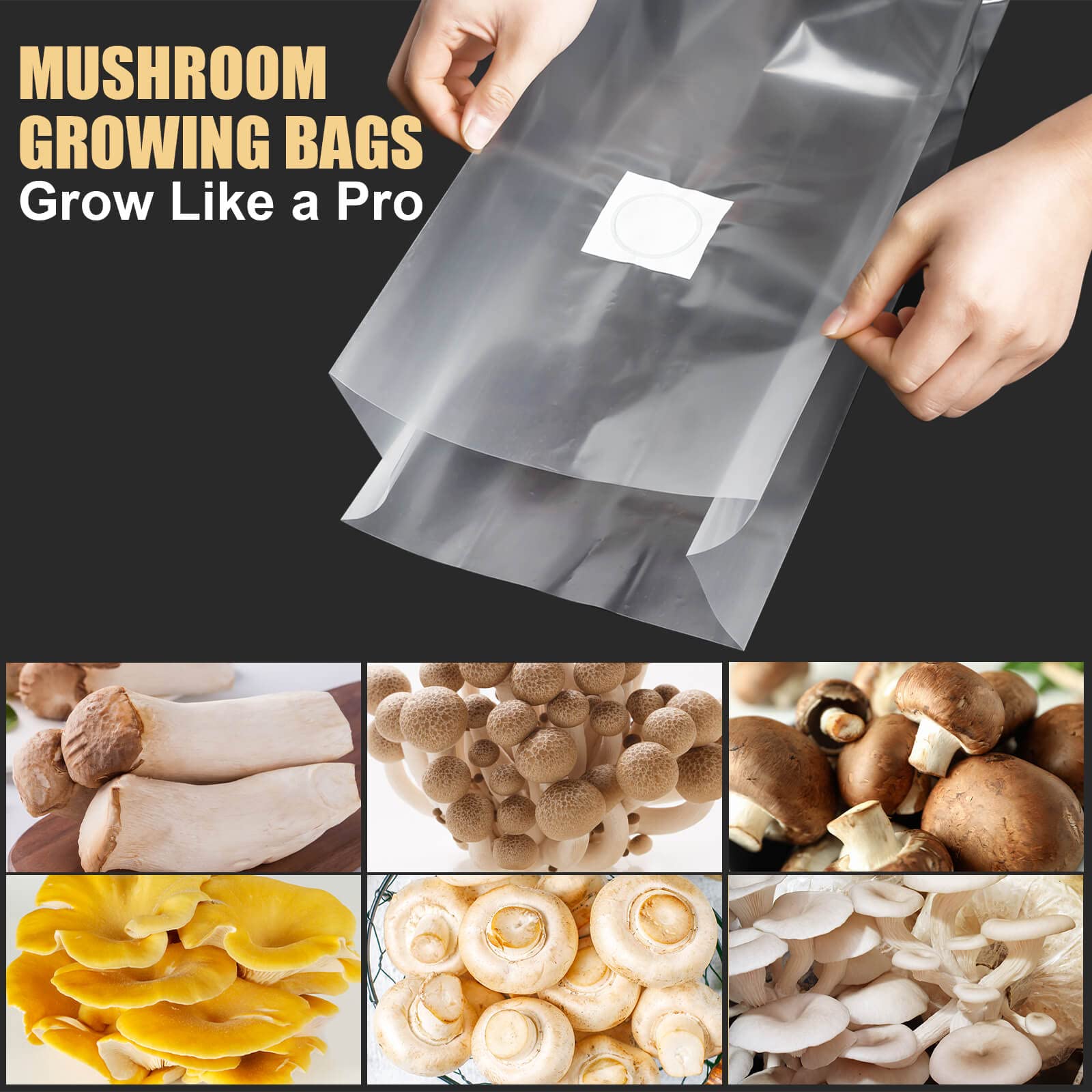CLESDF oyster and Ganoderma substrate bag supports fruiting block growth.