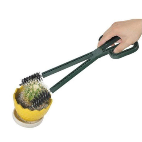 CLEVER BEAR cactus-cleaning pliers for gentle handling.