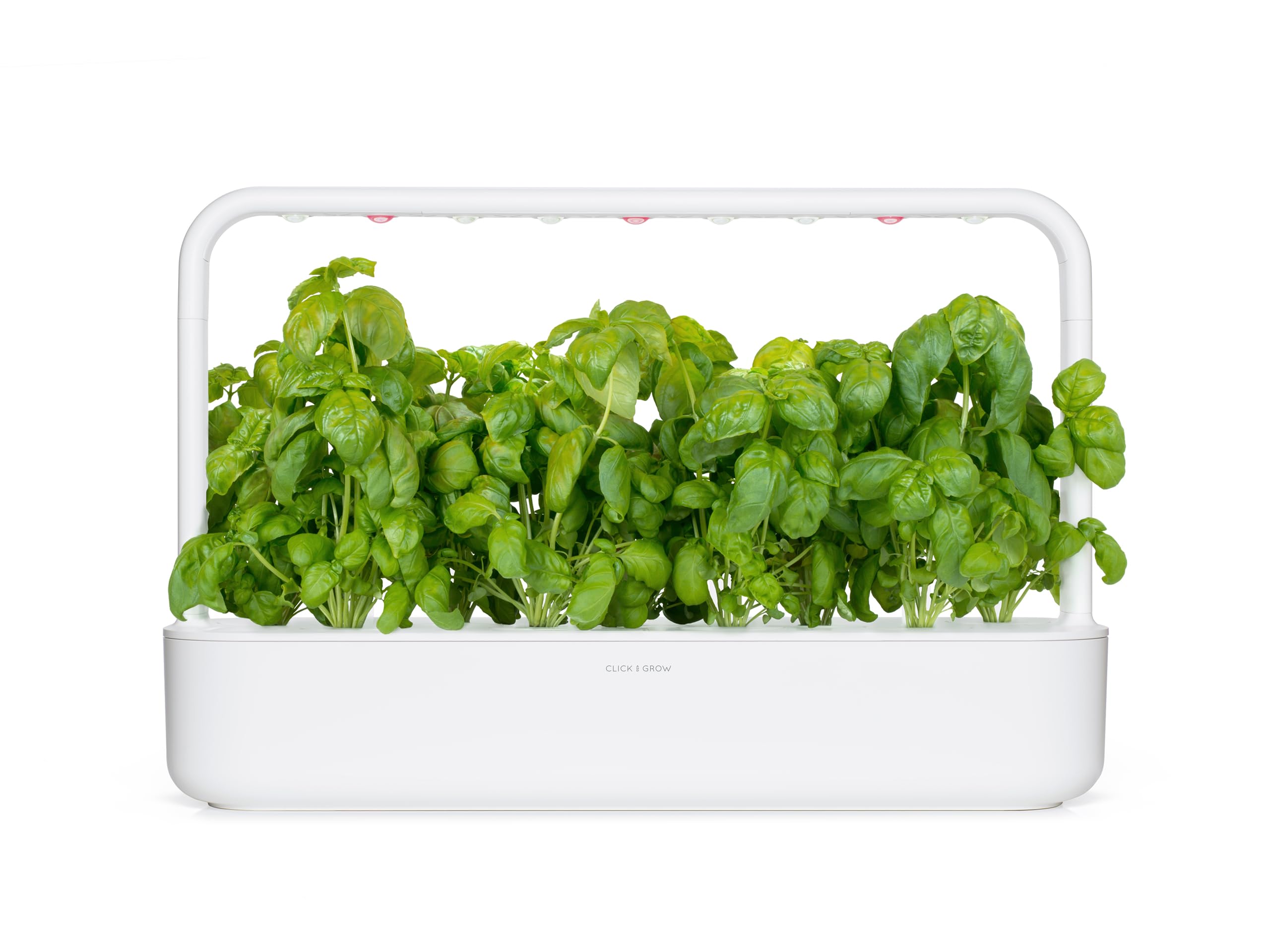 Click and Grow 3-pack display emphasizes value and freshness